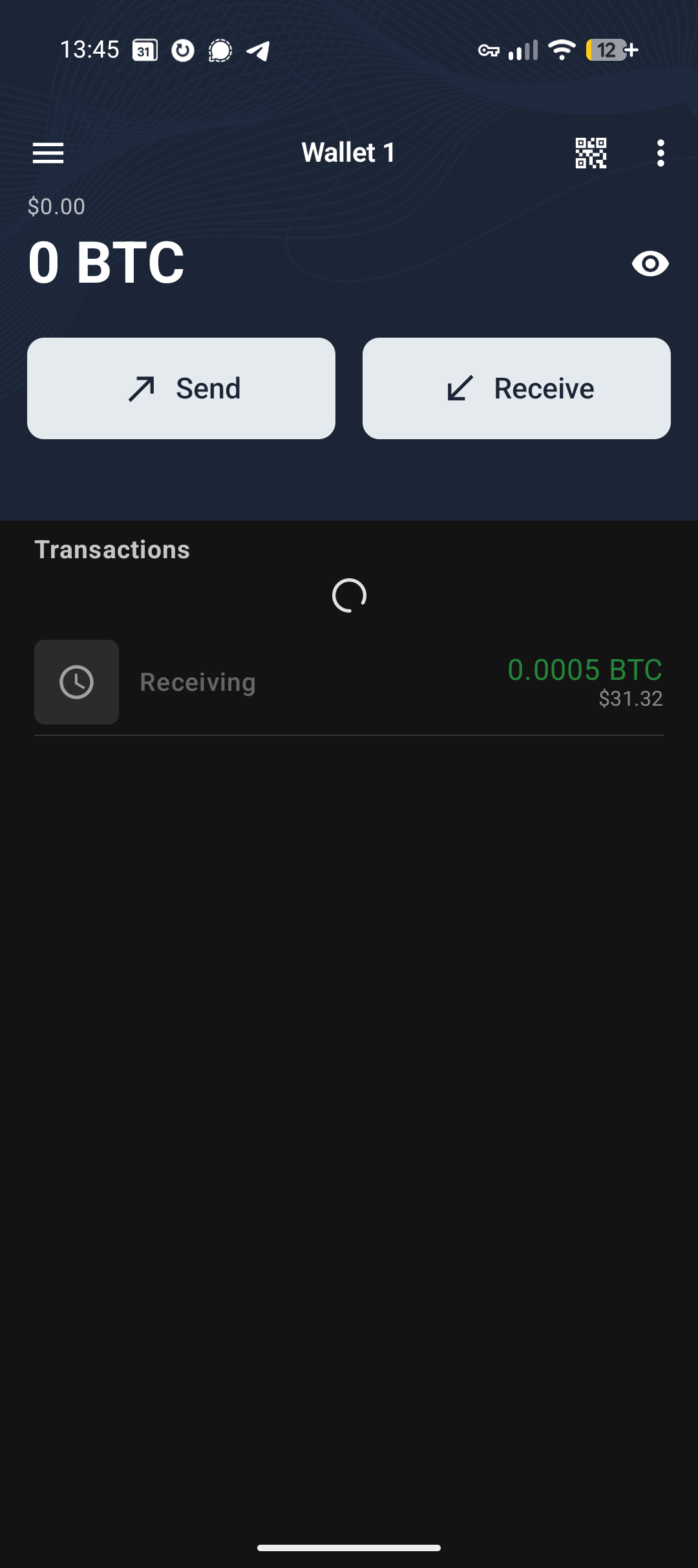 Cove, wallet home with the Send button
